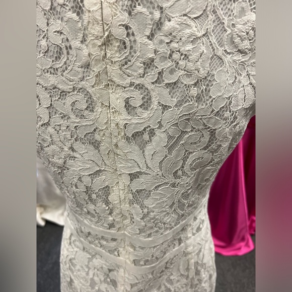 Lace Dress - Picture 2 of 4